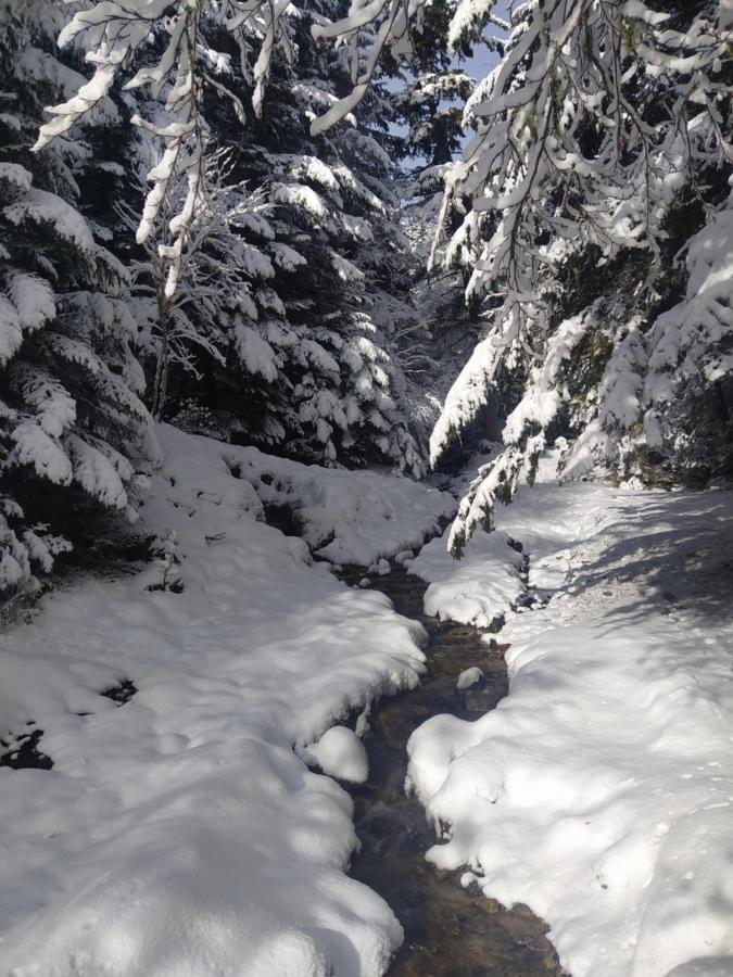 Studio 3 Personnes Au Pied Des Piste Plateau De Bonascre - Ax 3 Domaines Ete Hiver Ax-les-Thermes Eksteriør bilde
